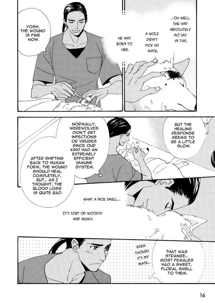 Ookami wo Karu Housoku Chapter 1 page 13 - Chapter 1