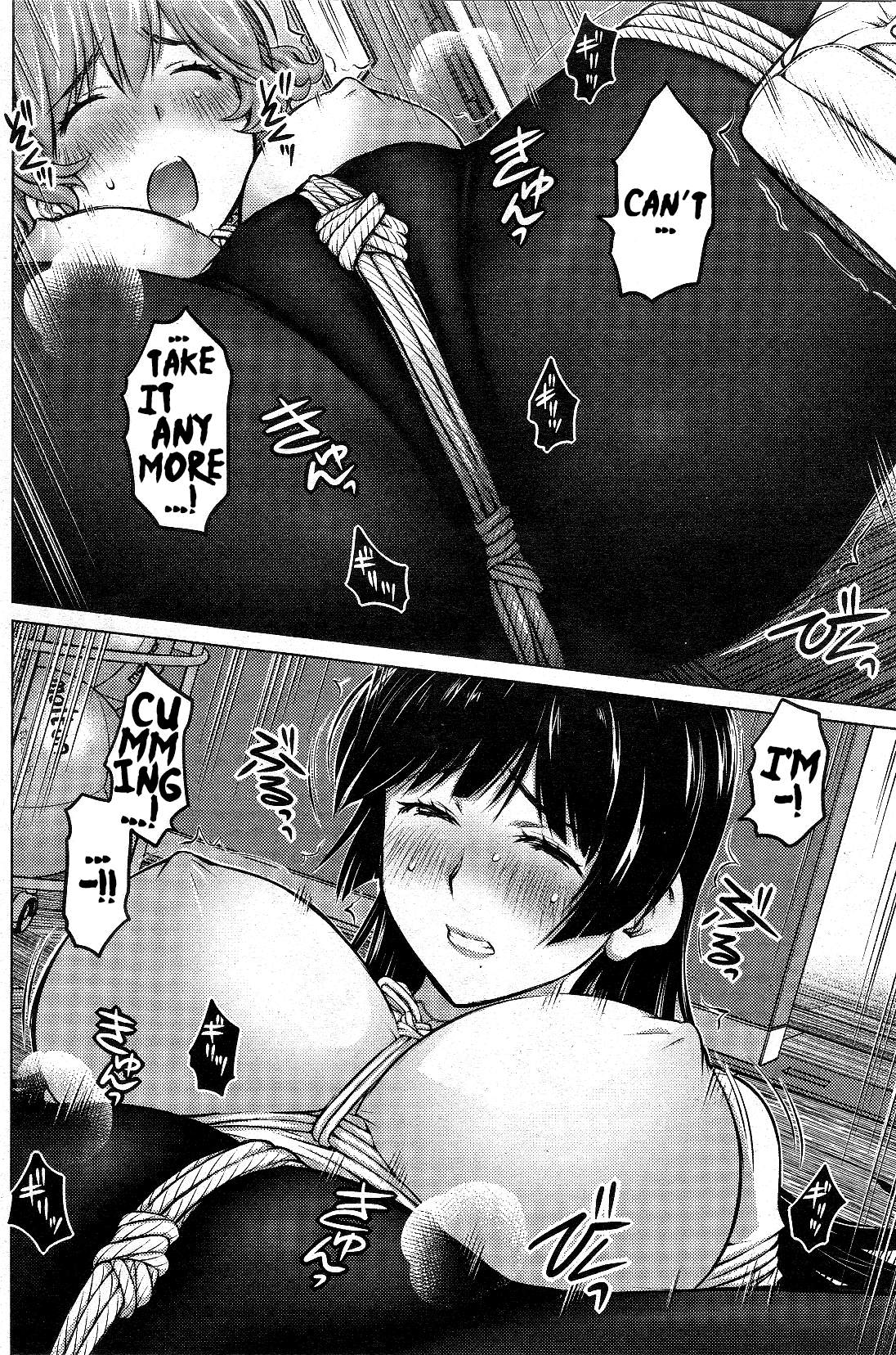 Ookii Onnanoko wa Daisuki Desu ka? Chapter 13 page 13 - Chapter 13