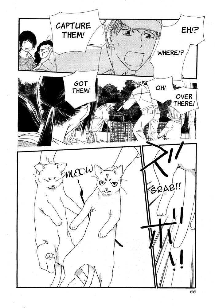 Orange Chocolate Chapter 8 page 11 - Chapter 8