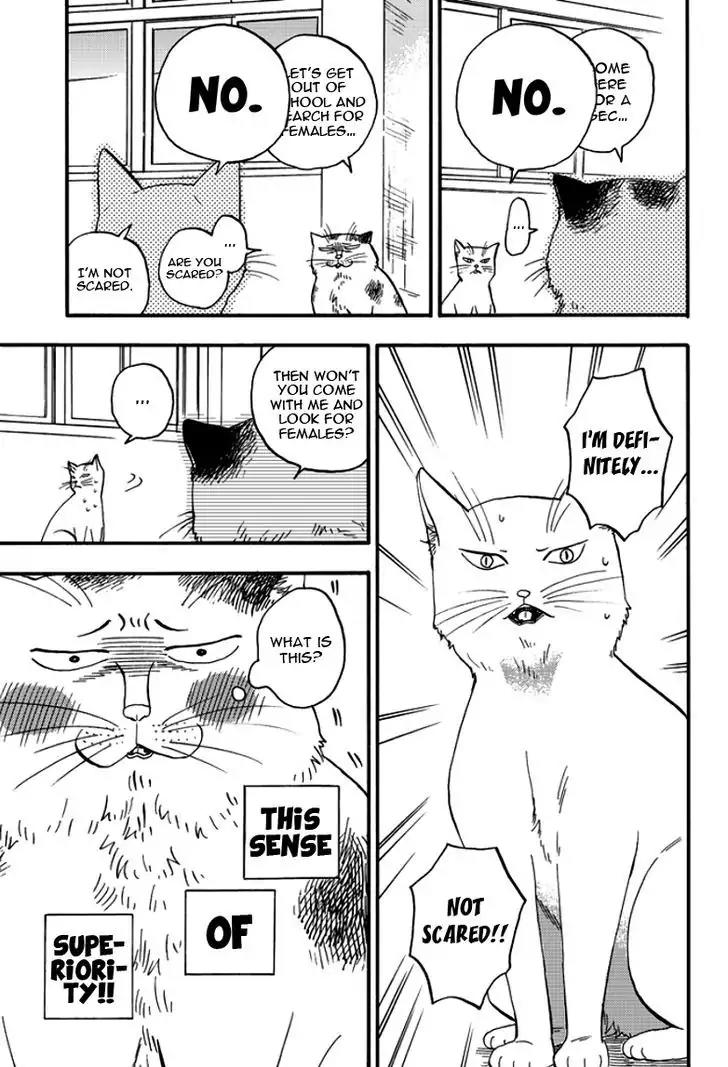 Ore wa Busamen - Neko Tsudzuri Chapter 2 page 15 - Chapter 2