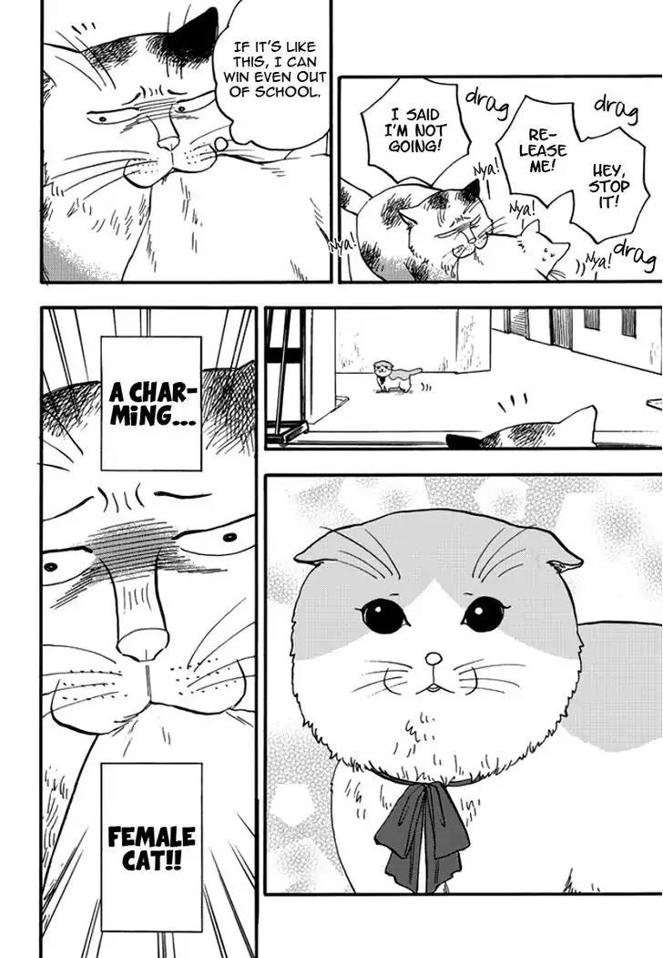 Ore wa Busamen - Neko Tsudzuri Chapter 2 page 16 - Chapter 2