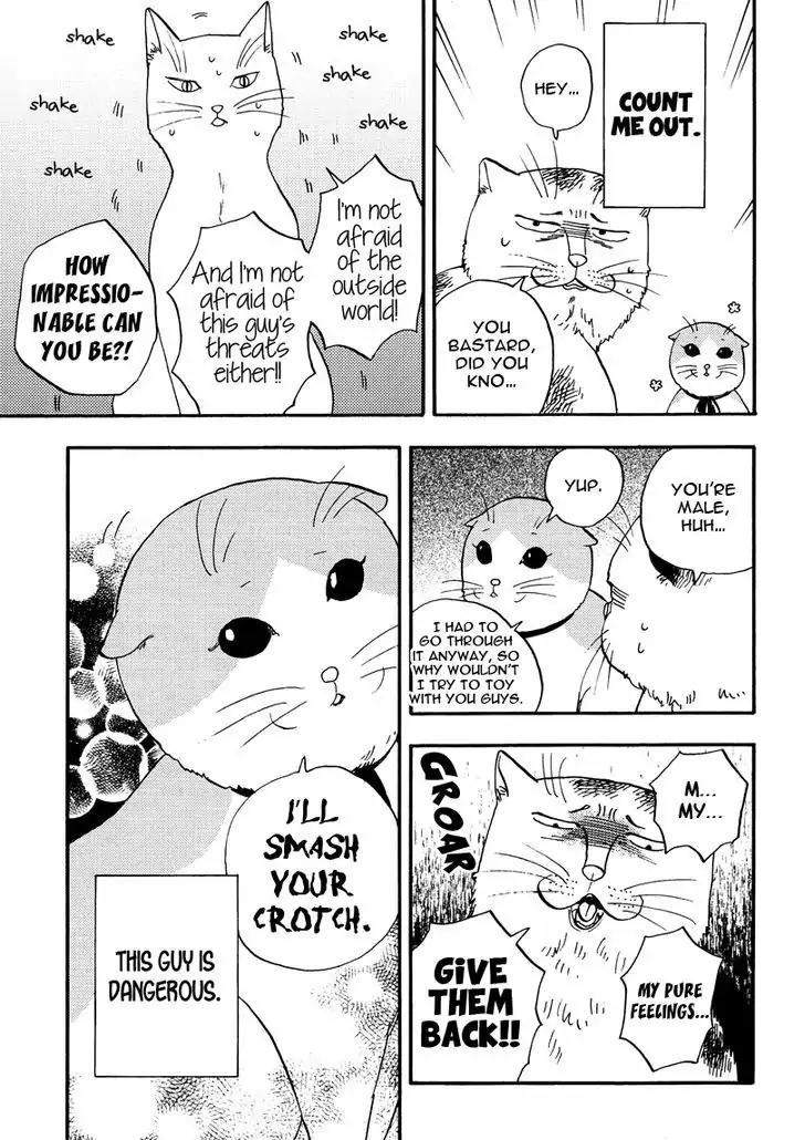 Ore wa Busamen - Neko Tsudzuri Chapter 3 page 13 - Chapter 3