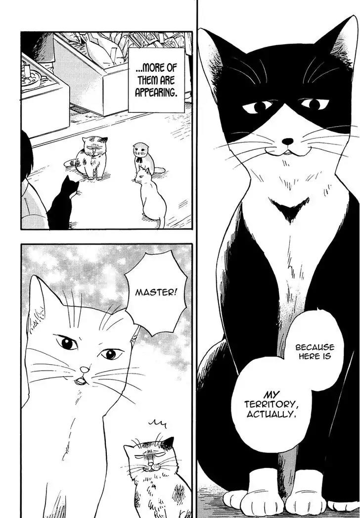Ore wa Busamen - Neko Tsudzuri Chapter 3 page 16 - Chapter 3