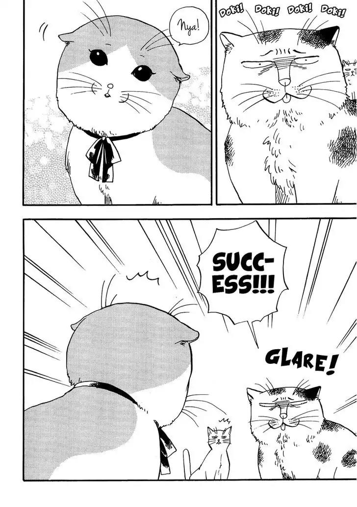 Ore wa Busamen - Neko Tsudzuri Chapter 3 page 2 - Chapter 3