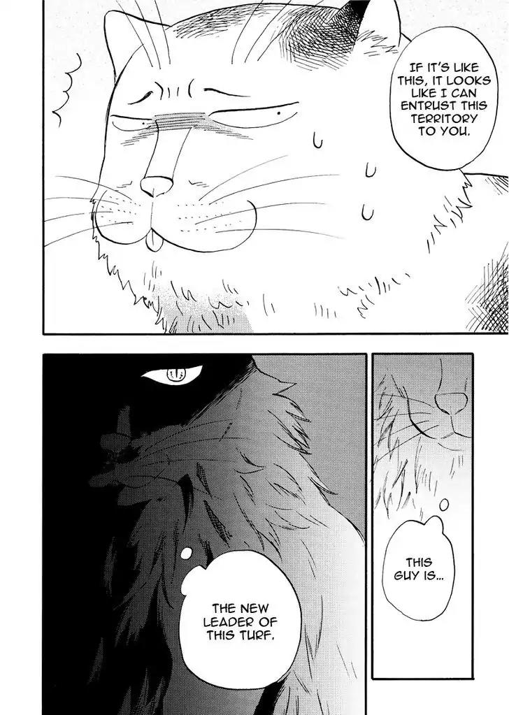 Ore wa Busamen - Neko Tsudzuri Chapter 4 page 16 - Chapter 4