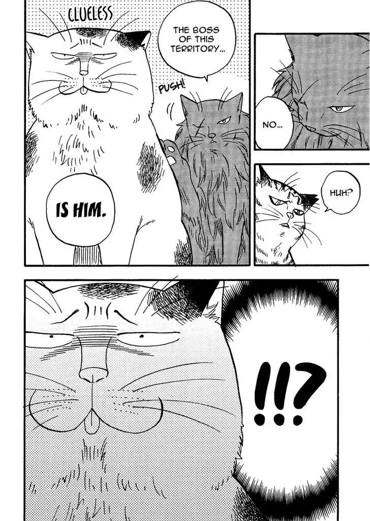 Ore wa Busamen - Neko Tsudzuri Chapter 5 page 12 - Chapter 5