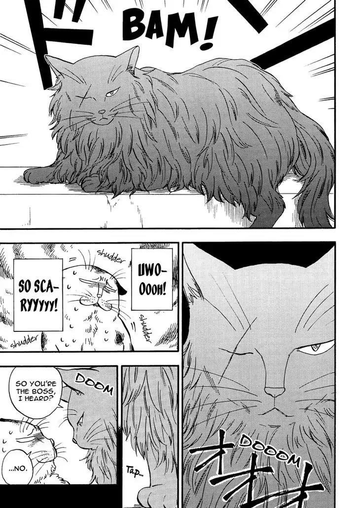 Ore wa Busamen - Neko Tsudzuri Chapter 5 page 3 - Chapter 5