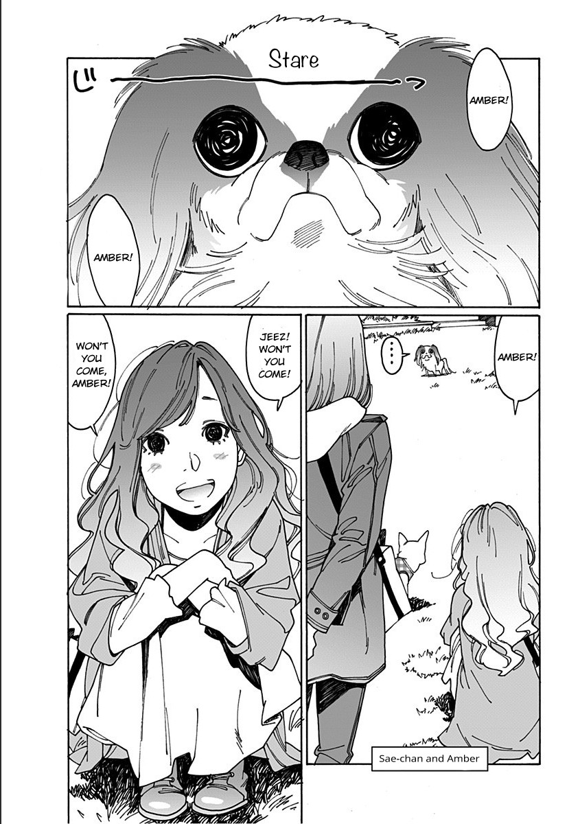 Otome no Teikoku Chapter 204.1 page 13 - Chapter 204.1: A Household with a dog