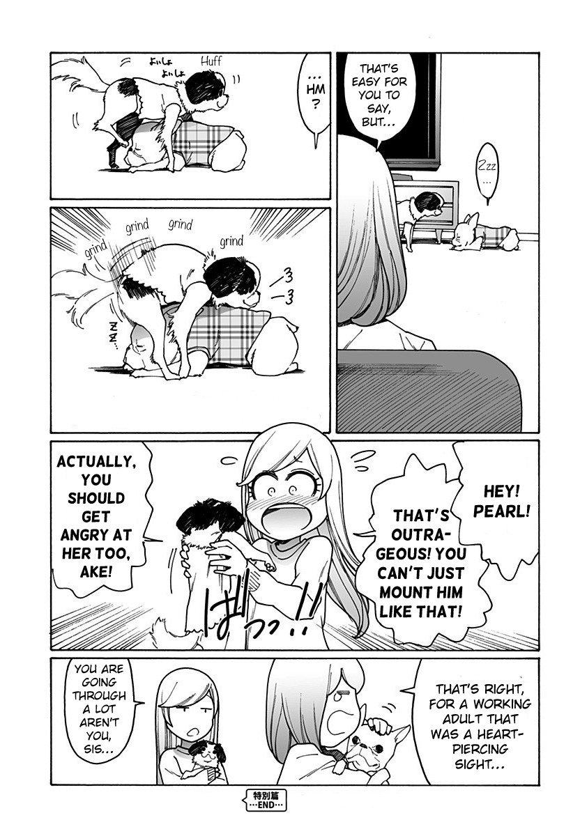 Otome no Teikoku Chapter 204.1 page 27 - Chapter 204.1: A Household with a dog