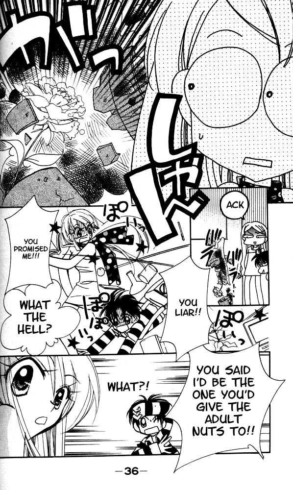 Otona Ni Nuts Chapter 3.0 page 35 - Vol.03 Chapter 0
