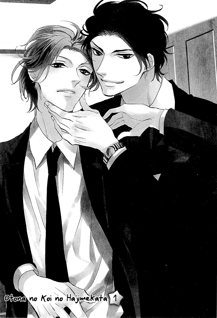 Otona no Koi no Hajimekata Chapter 1 page 9 - Chapter 1 : Otona no Koi no Hajimekata 1