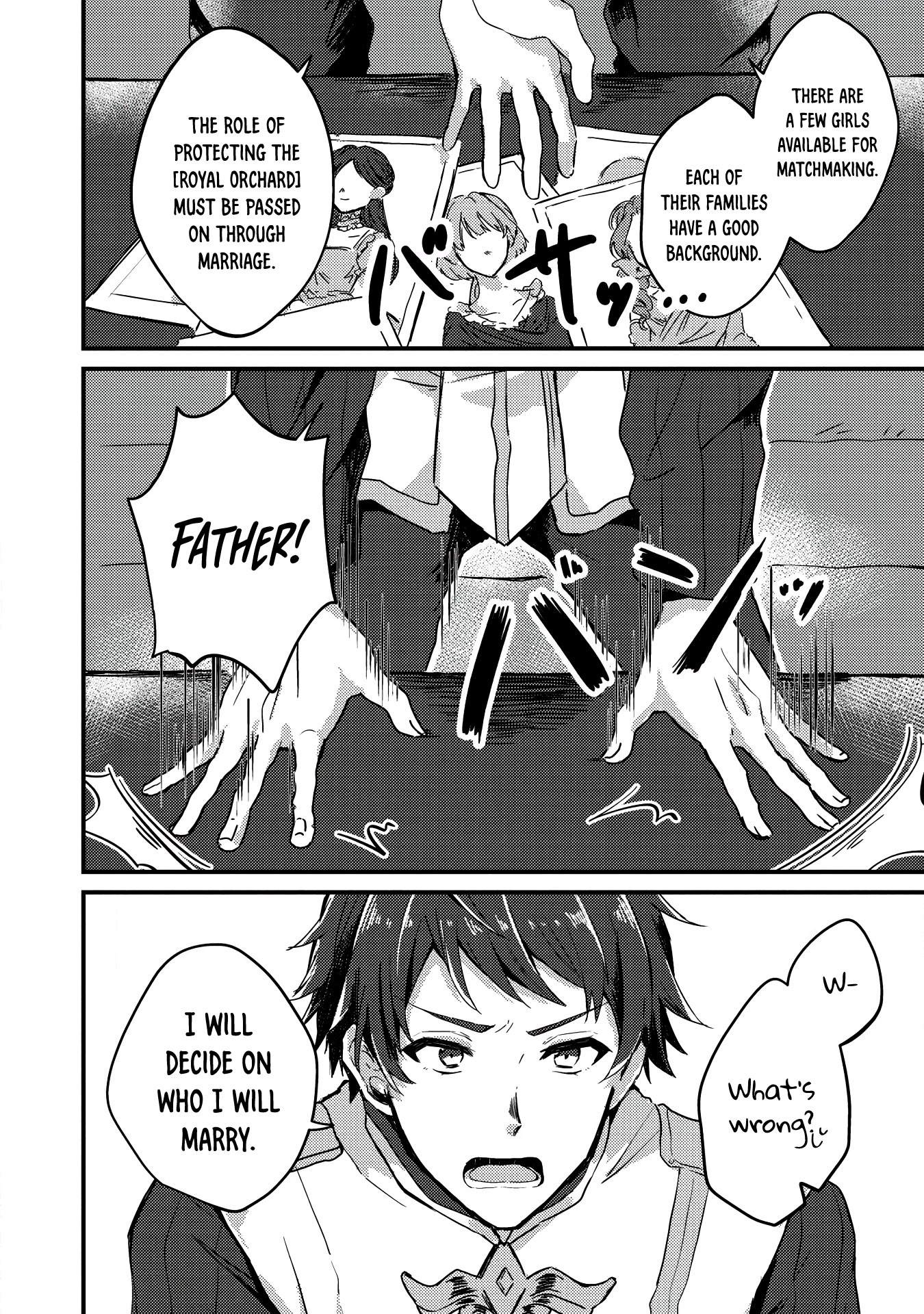 “Ou no Saien” no Kishi to, “Yasai” no Ojou-sama Chapter 1 page 17 - Chapter 1