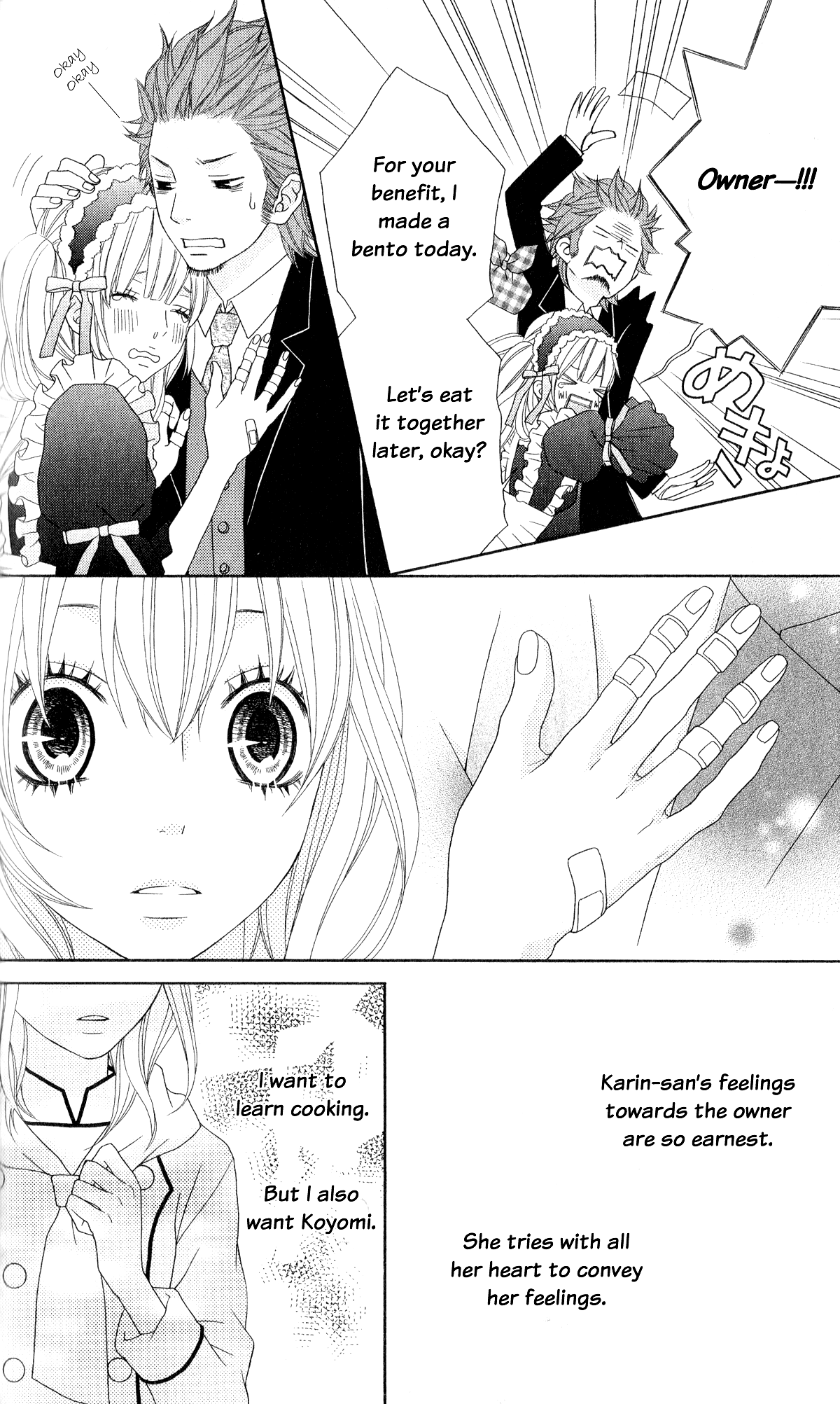 Ou-sama wa Shitsuji-sama Chapter 3 page 17 - Chapter 3