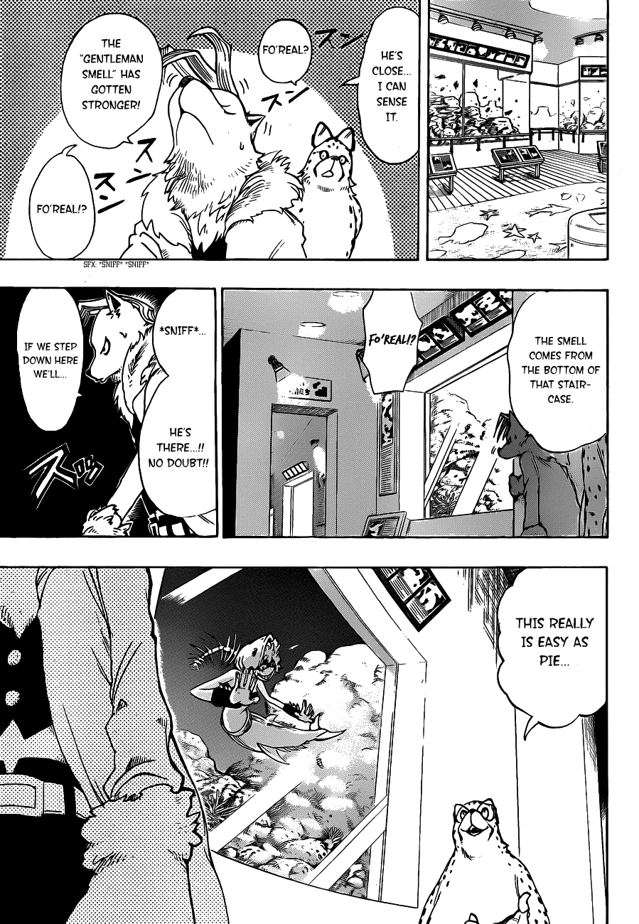 Oumagadoki Doubutsuen Chapter 14.2 page 17 - Chapter 14 v2 : Zoo vs. Aquarium, It Begins!