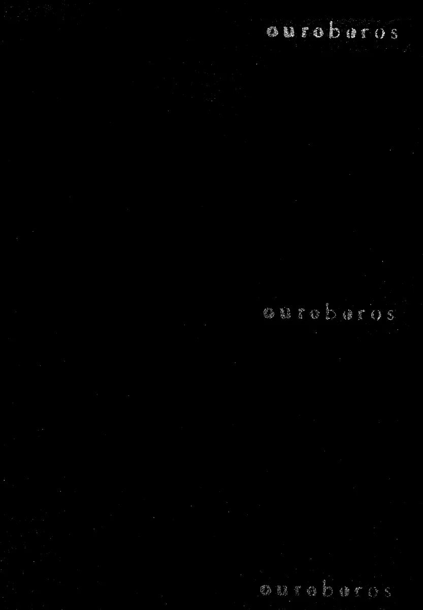 Ouroboros Chapter 68 page 3 - Chapter 68: Bare