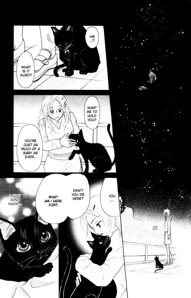 Oya Niwa Naisho no Koimonogatari Chapter 2 page 33 - Chapter 2 : Devil Cat's Temptation
