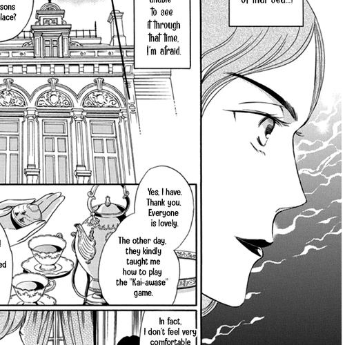 Palace Meidi Chapter 17 cover