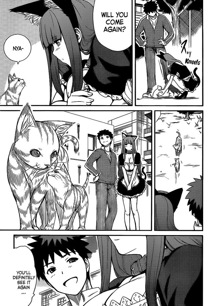 Papa no Iukoto o Kikinasai! - Rojou Kansatsu Kenkyuu Nisshi Chapter 4 page 16 - Chapter 4 : Kitten panic!