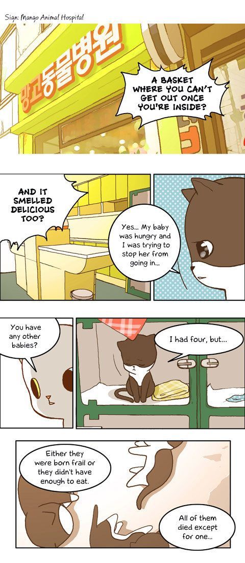 Papi Nyang Chapter 11 page 11 - Chapter 11 : Murphy's Law