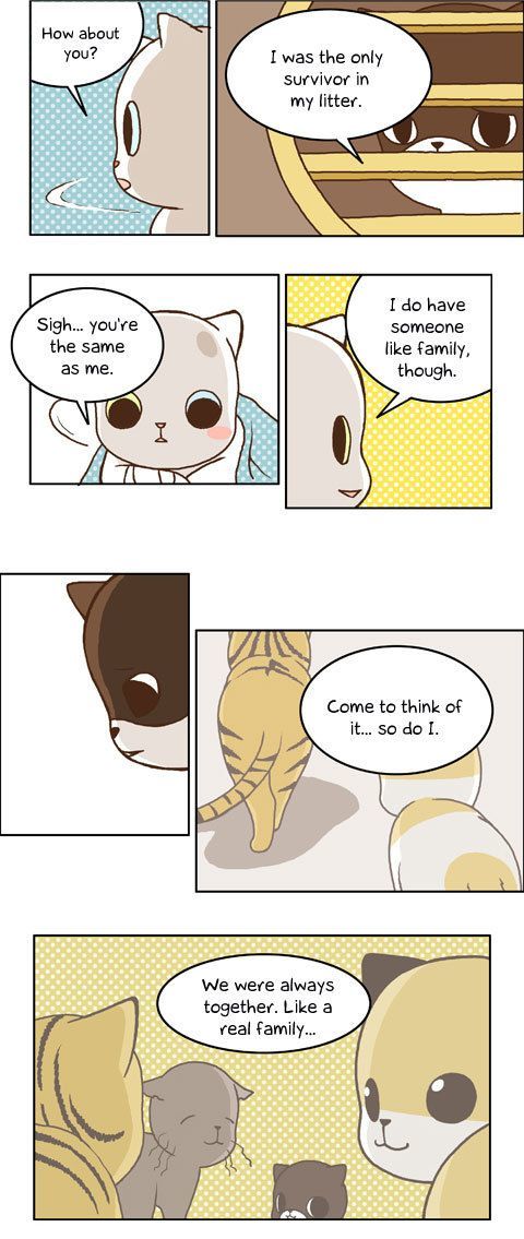 Papi Nyang Chapter 11 page 12 - Chapter 11 : Murphy's Law