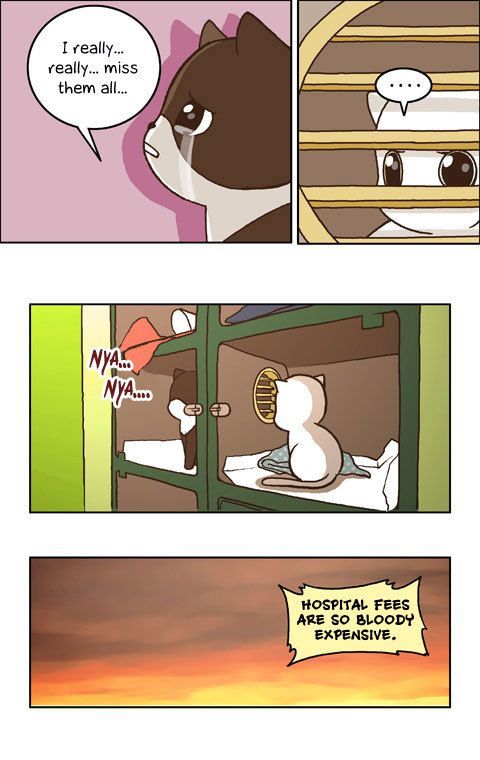 Papi Nyang Chapter 11 page 13 - Chapter 11 : Murphy's Law