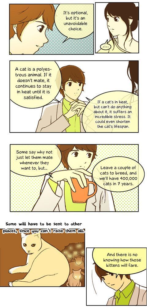 Papi Nyang Chapter 11 page 8 - Chapter 11 : Murphy's Law