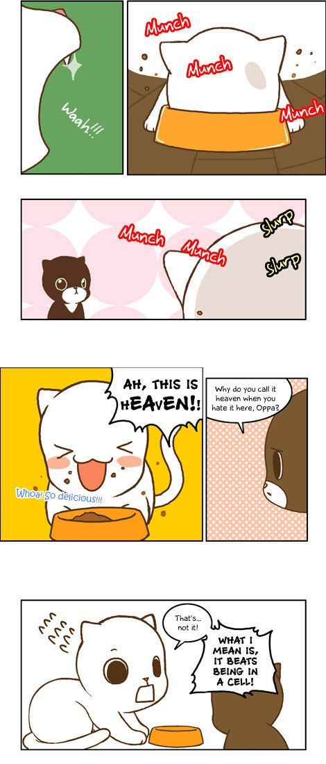 Papi Nyang Chapter 12 page 6 - Chapter 12 : The Island Baby