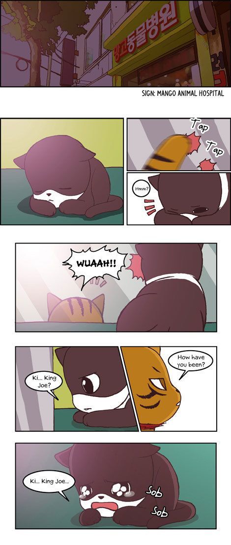 Papi Nyang Chapter 14 page 12 - Chapter 14 : Promise