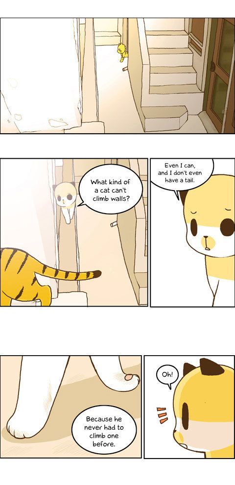Papi Nyang Chapter 15 page 2 - Chapter 15 : More Today than Yesterday