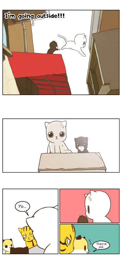 Papi Nyang Chapter 16 page 11 - Chapter 16 : Two-Lane Bridge