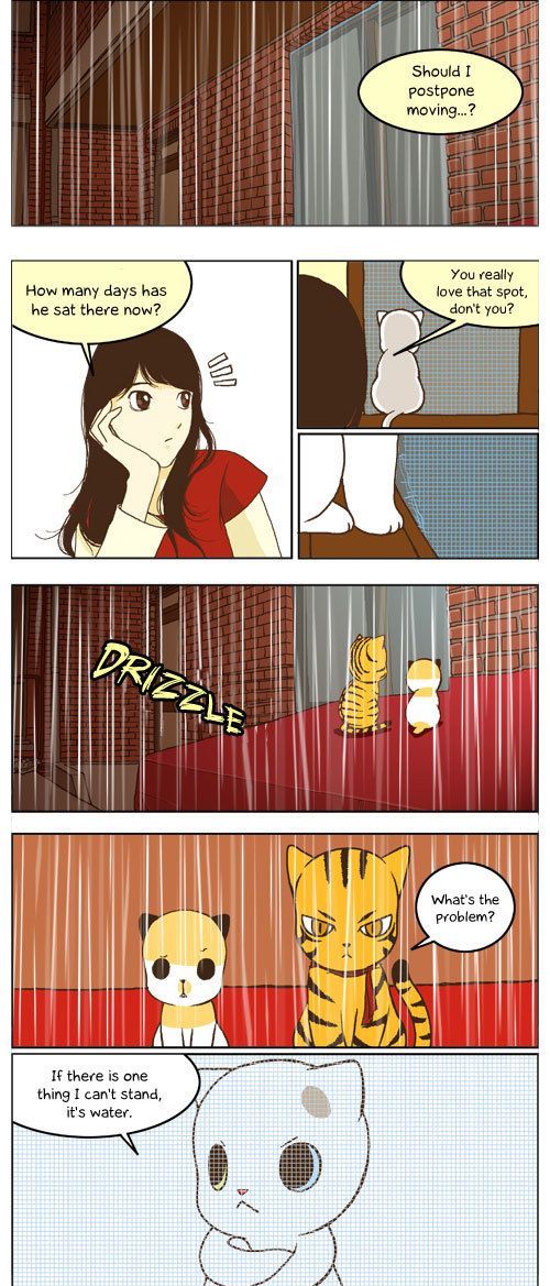 Papi Nyang Chapter 16 page 2 - Chapter 16 : Two-Lane Bridge