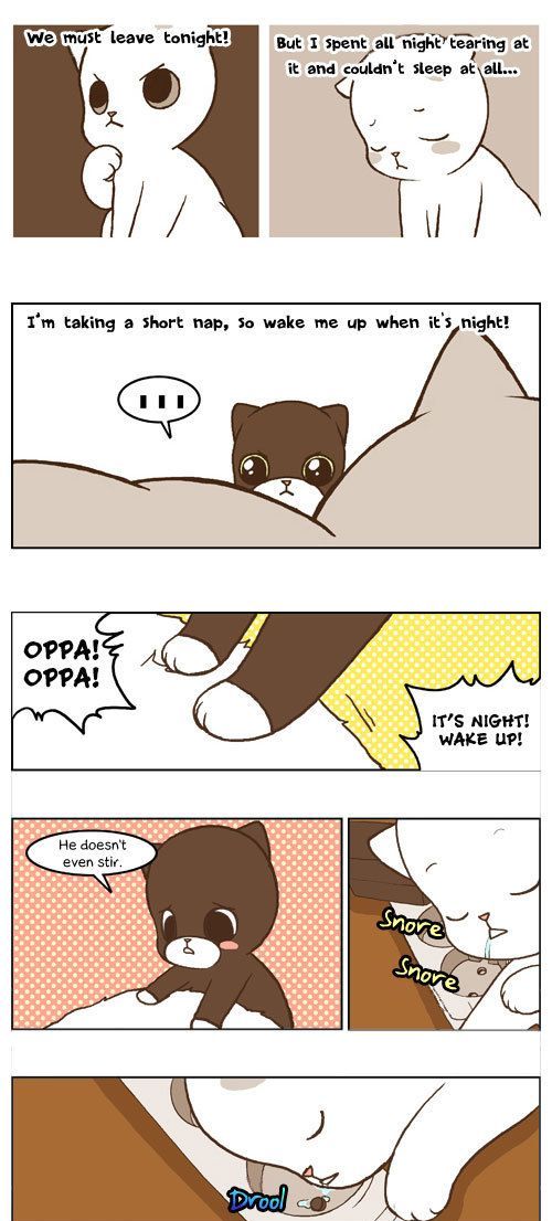 Papi Nyang Chapter 16 page 4 - Chapter 16 : Two-Lane Bridge
