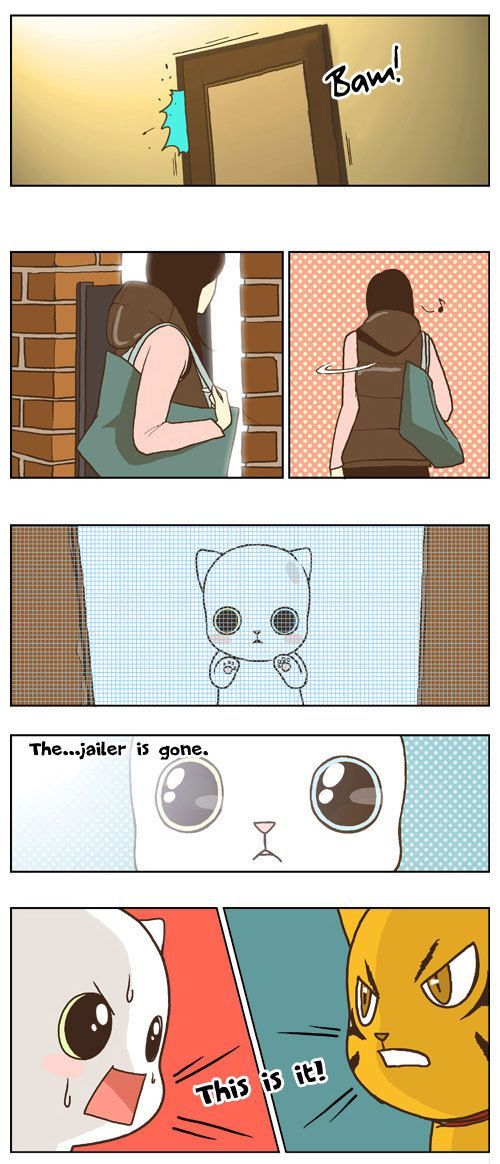 Papi Nyang Chapter 16 page 8 - Chapter 16 : Two-Lane Bridge