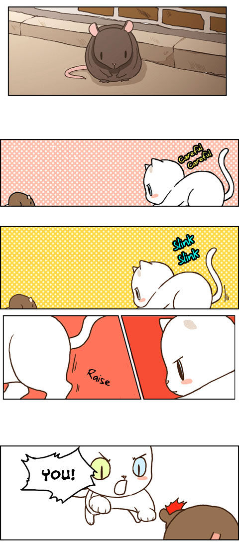 Papi Nyang Chapter 17 page 10 - Chapter 17 : Romantic Cat