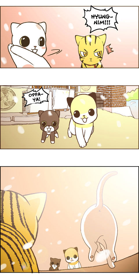 Papi Nyang Chapter 17 page 15 - Chapter 17 : Romantic Cat