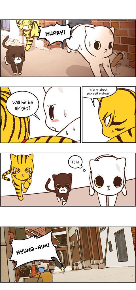 Papi Nyang Chapter 17 page 5 - Chapter 17 : Romantic Cat