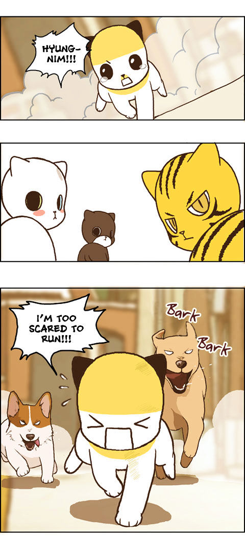 Papi Nyang Chapter 17 page 6 - Chapter 17 : Romantic Cat