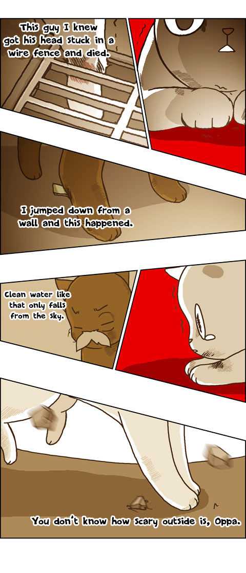 Papi Nyang Chapter 20 page 18 - Chapter 20 : An Invitation to Everyday Life