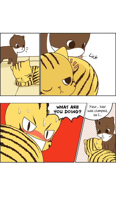 Papi Nyang Chapter 24.4 page 6 - Chapter 24.4 : The Knight for the Doll