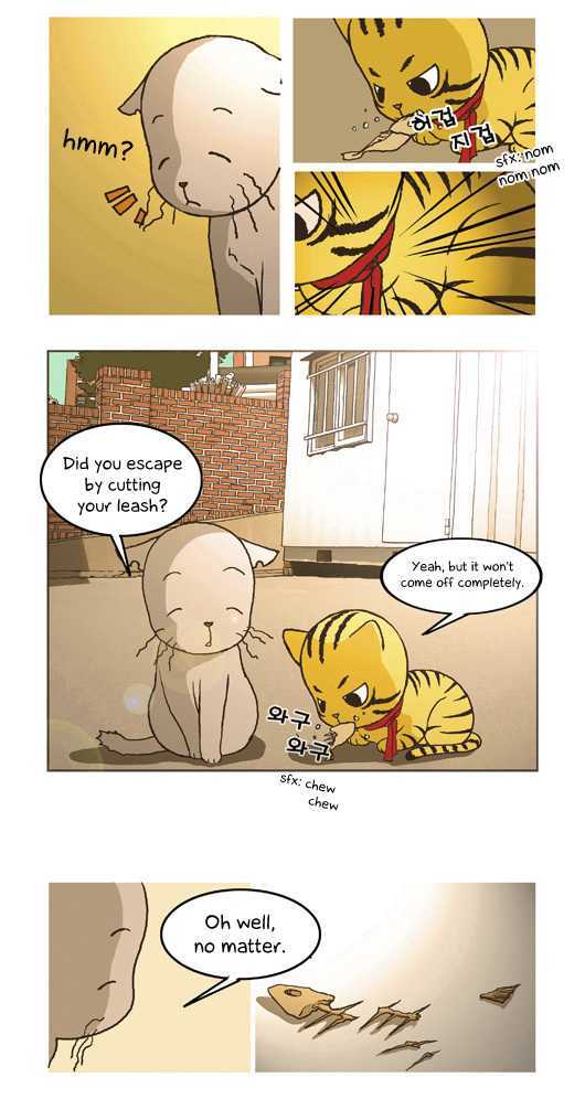 Papi Nyang Chapter 4 page 21 - Chapter 4 : War of the Roses