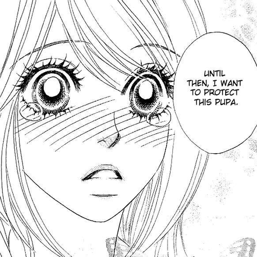 Papillon - Hana to Chou Chapter 14 cover