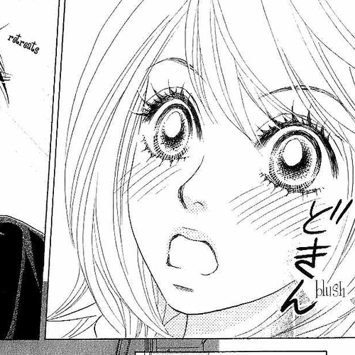 Papillon - Hana to Chou Chapter 15 cover