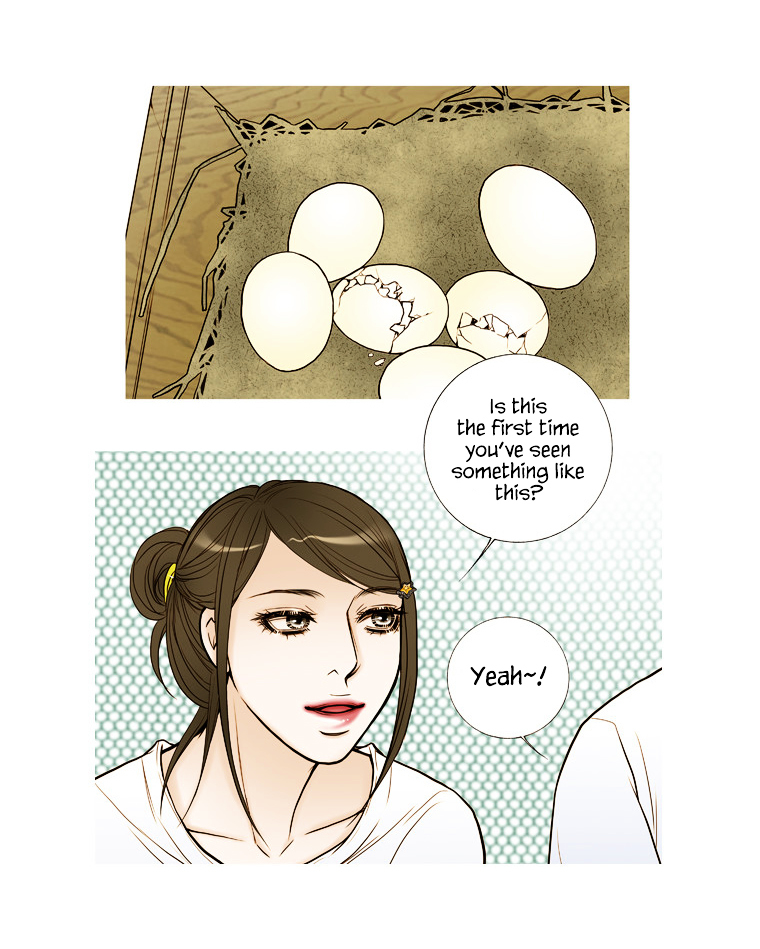 Paradise (Miso) Chapter 17 page 28 - Chapter 17 : Chapter 17