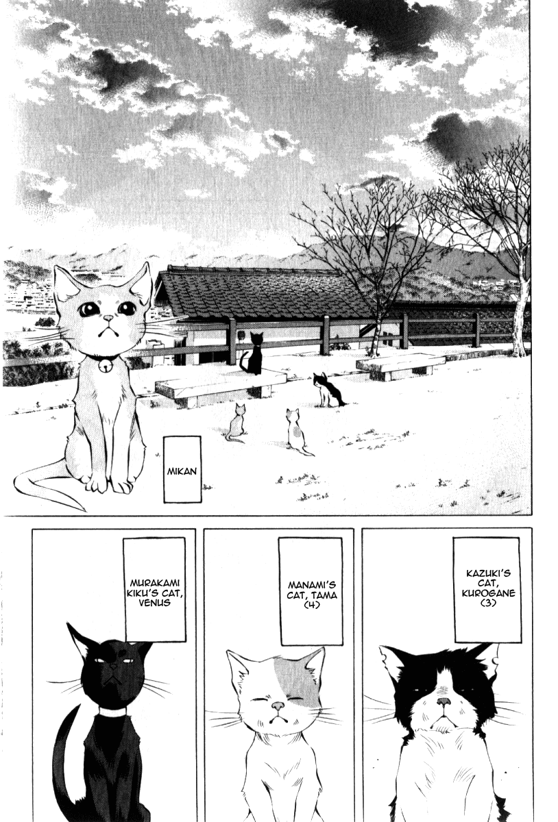 Pastel Chapter 123.5 page 12 - Chapter 123.5: Extra Chapter - Mikan's Heart