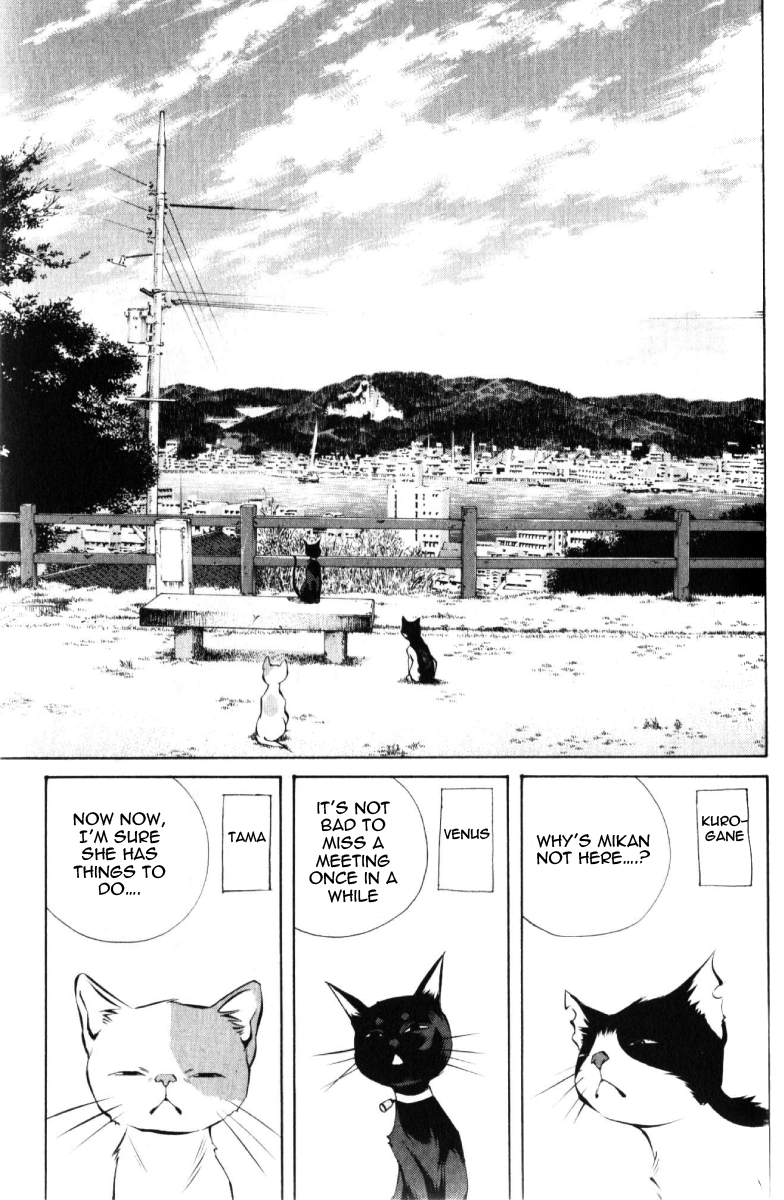 Pastel Chapter 125 page 23 - Chapter 125: The Reason Mikan Left
