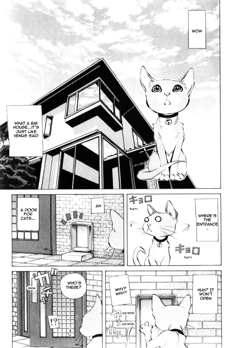 Pastel Chapter 125 page 25 - Chapter 125: The Reason Mikan Left