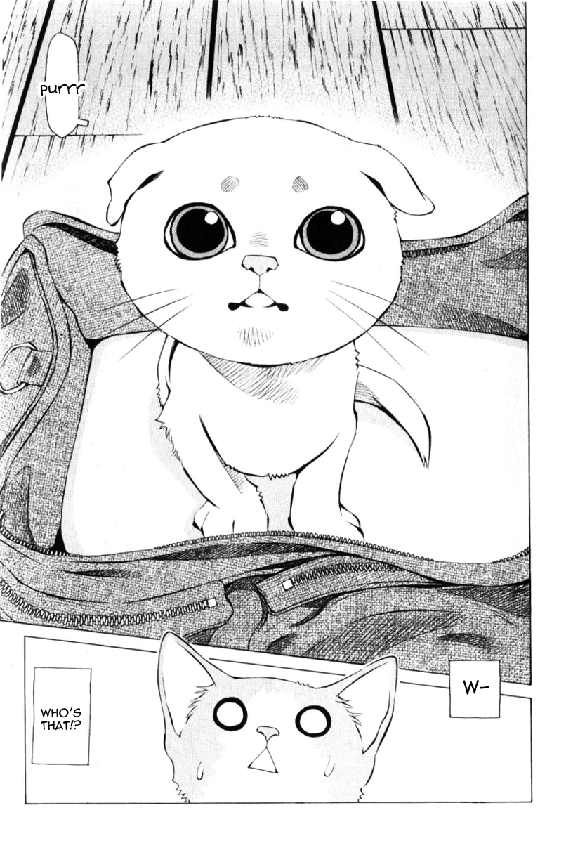 Pastel Chapter 125 page 3 - Chapter 125: The Reason Mikan Left