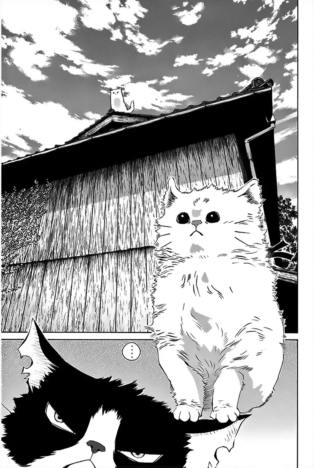 Pastel Chapter 150 page 12 - Chapter 150: Kurogane's Youth!!