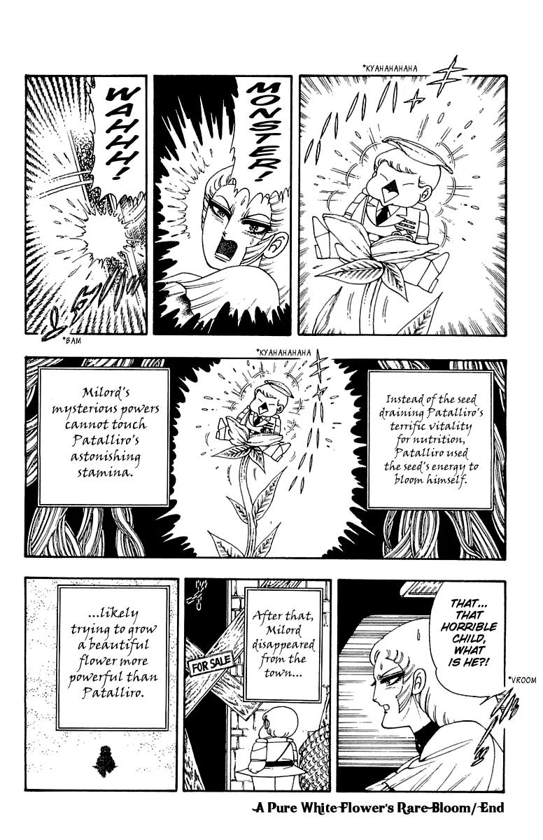 Patalliro! Chapter 24 page 30 - Chapter 24