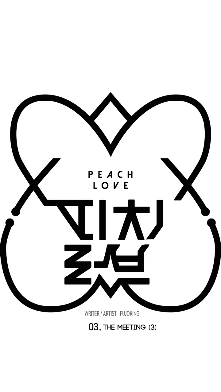 Peach Love Chapter 3 page 3 - Chapter 3 : Meeting (3)